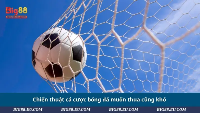 Chiến thuật cá cược bóng đá muốn thua cũng khó