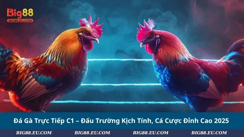 Đá Gà Trực Tiếp C1 – Đấu Trường Kịch Tính, Cá Cược Đỉnh Cao 2025