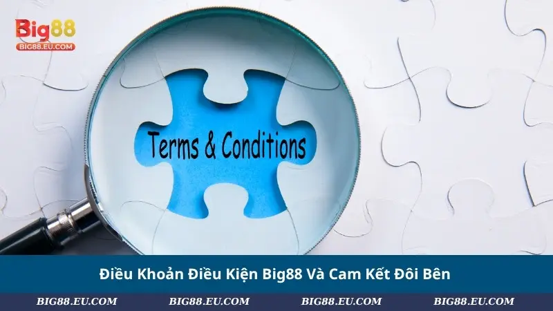 Điều Khoản Điều Kiện Big88 Và Cam Kết Đôi Bên
