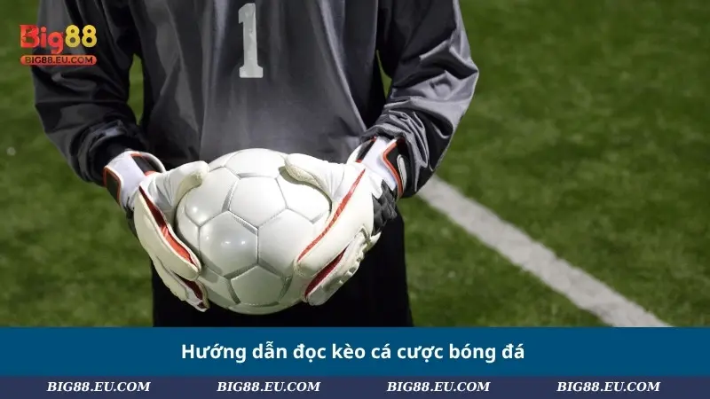 Hướng dẫn đọc kèo cá cược bóng đá