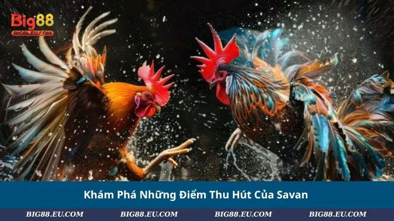Khám Phá Những Điểm Thu Hút Của Savan
