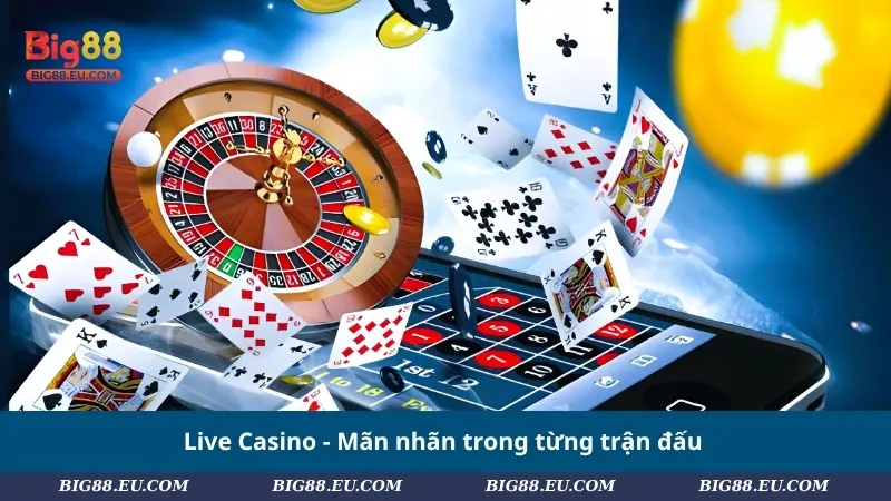 Live Casino - Mãn nhãn trong từng trận đấu
