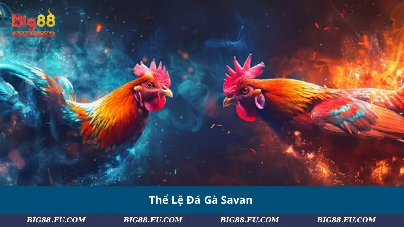 Thể Lệ Đá Gà Savan